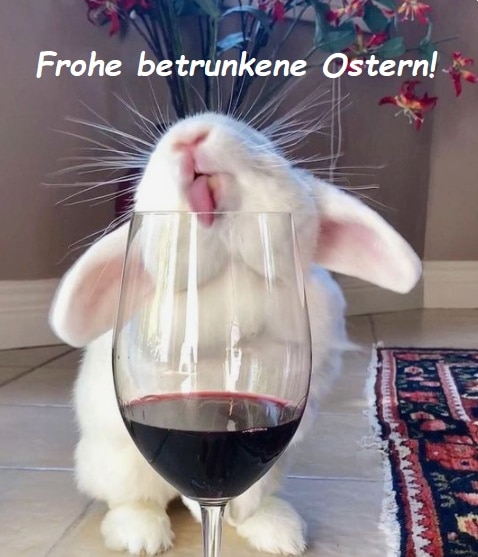 Bílý králík olizující vinnou sklenici s červeným vínem s nápisem Frohe betrunkene Ostern!