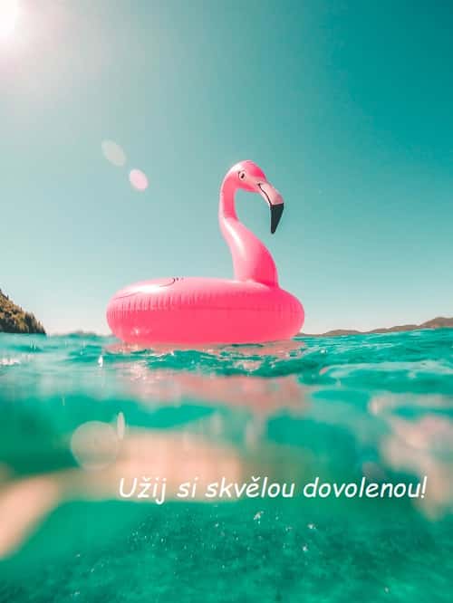 Nafukovací růžový plameňák na hladině moře s přáním užití si skvělé dovolené.