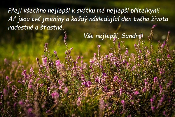 Přání k svátku Sandře na pozadí louky s vřesem.