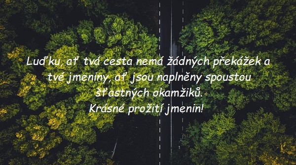 Gratulace ke jmeninám Luďkovi na pozadí shora zabrané silnice lemované zeleným listnatým lesem. 