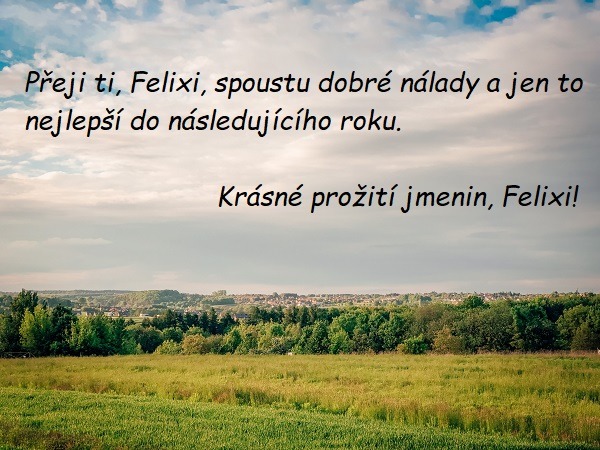 Přání k svátku pro Felixe na pozadí louky v pozadí se sídlištěm. 