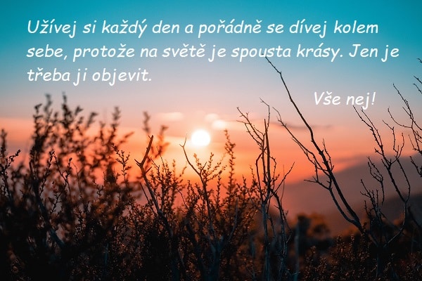 Přání všeho nejlepšího k svátku na pozadí křoví při západu slunce.