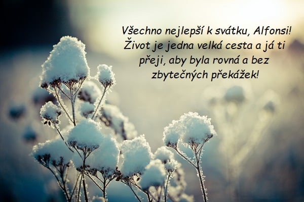 Blahopřání k svátku pro Alfonse na pozadí zasněžené luční květiny na poli při západu slunce.