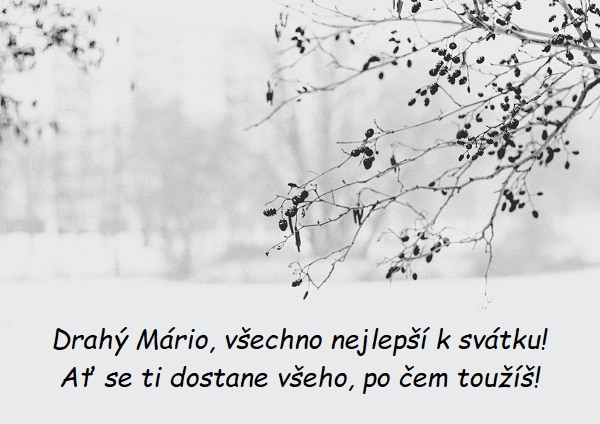 Přání všeho nejlepšího k svátku pro Mária na pozadí zimní krajiny s detailem na větev s malými šiškami. 