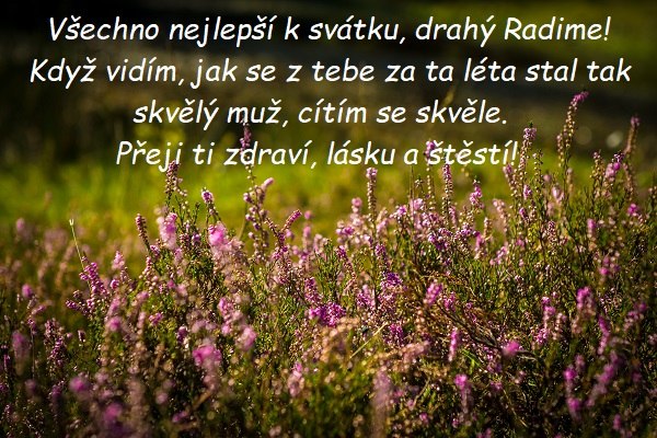 Gratulace k svátku pro Radima na pozadí kvetoucího vřesu. 