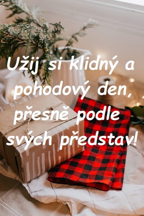 Vánoční dárek s vázou plnou jehličnatých větviček s přáním pohodového dne. 