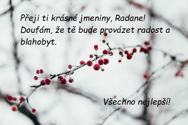 Přání k svátku Radanovi na pozadí zmrzlé větvičky s červenými bobulemi. 