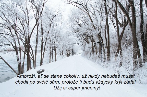 Zasněžená cesta lemovaná stromy s gratulací ke jmeninám Ambrožovi.